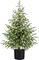 3FT Pre-Lit Artificial Norfolk Pine Christmas Tree (Green) 18"D x 18"W x 36"H